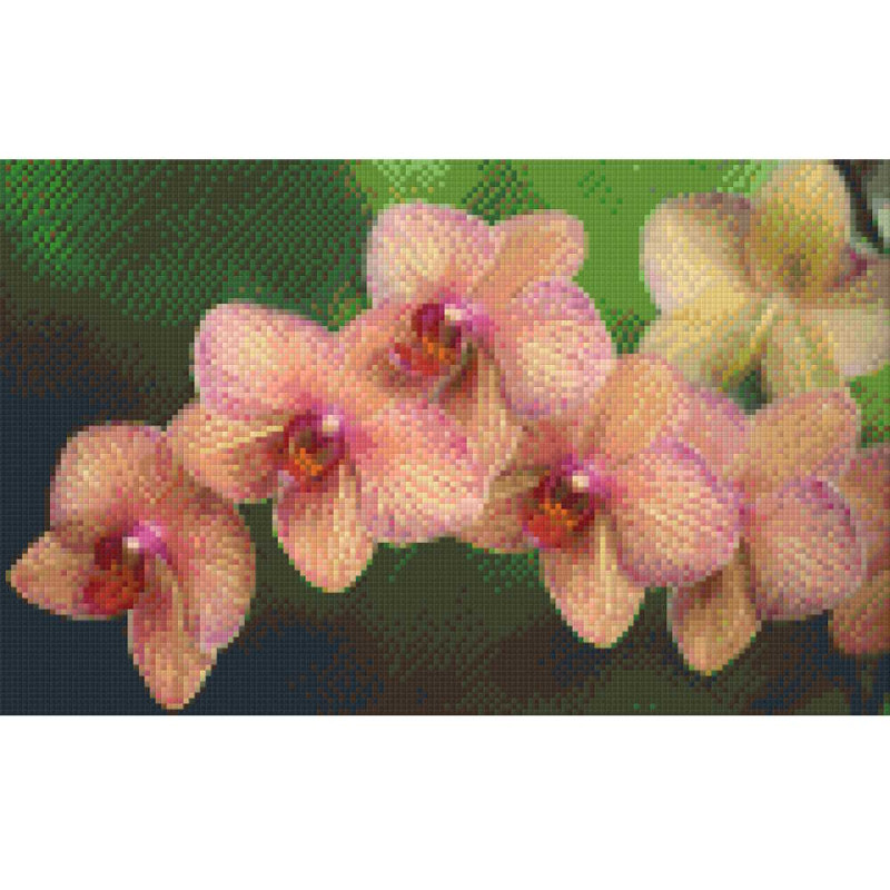 808024 Pixelhobby Klassik Set Orchidee 2