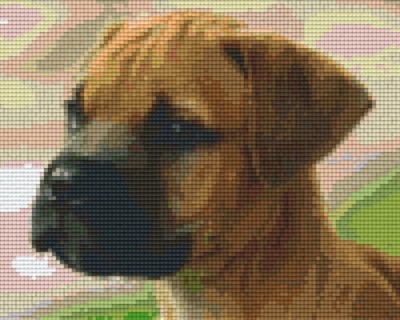 804195 Pixelhobby Klassik Set Hundeblick 7