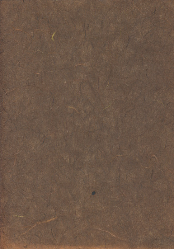 1012575 Naturpapier Strohseide A4 braun