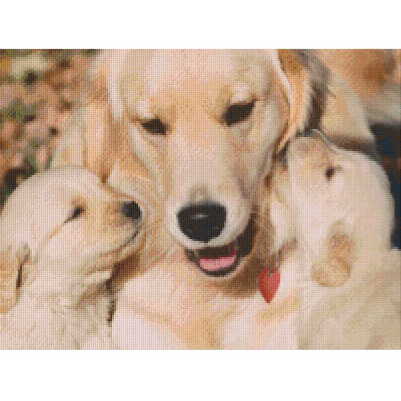 815029 Pixelhobby Klassik Set Labrador mit Welpen