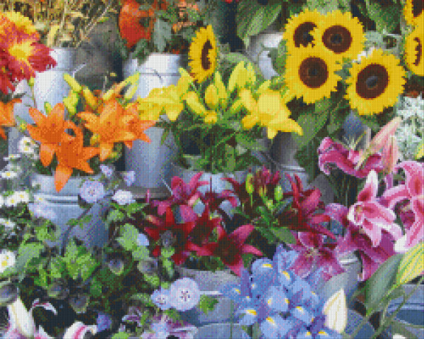 825020 Pixelhobby Klassik Set Meer aus Blumen