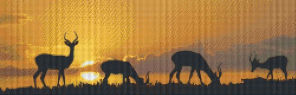 px810003_Pixelset-Sonnenuntergang