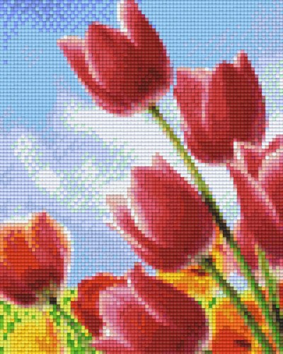 804458 Pixelhobby Klassik Set Tulpen 2