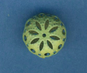 3451161 Ornamentperle 14x8mm pastellgrün
