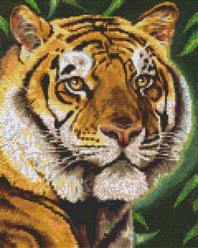 px809377_Pixelset-Tiger-6