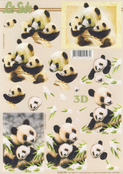 4169.799 3D Motivbogen A4 Pandabär