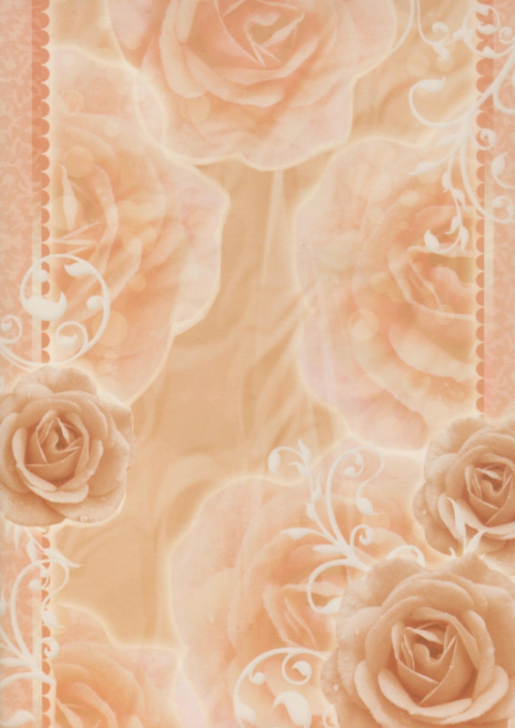 005313 Transparentpapier A4 Rosen aprikot