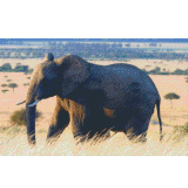 808030 Pixelhobby Klassik Set Elefant 5