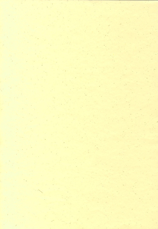 511201 Naturpapier A4 elfenbein gold flitter