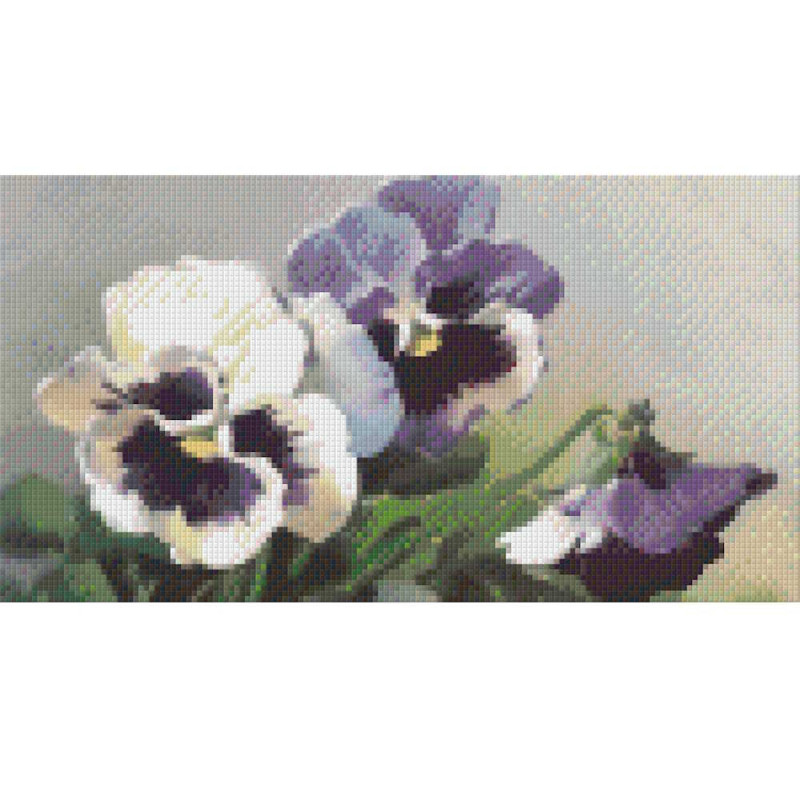806053 Pixelhobby Klassik Set Veilchen