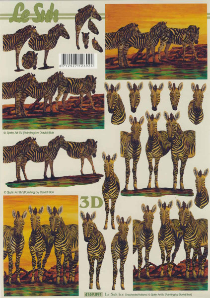 4169.891 3D Motivbogen A4 Zebras