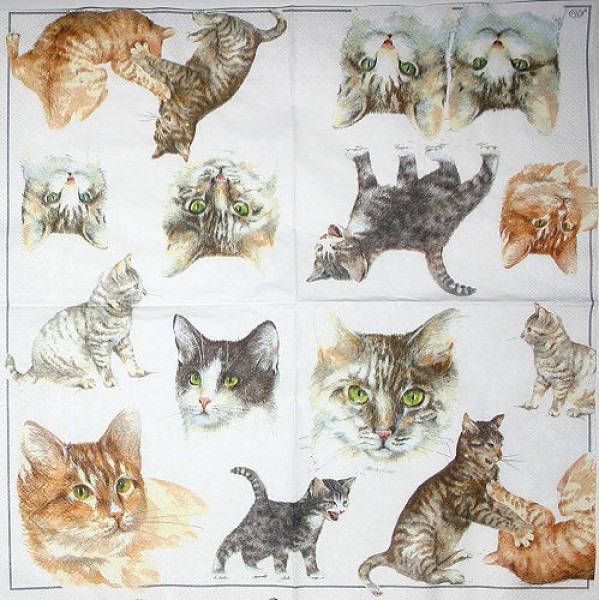 Serviette Cat