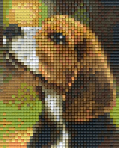 801458 Pixelhobby Klassik Set Hundeblick 5