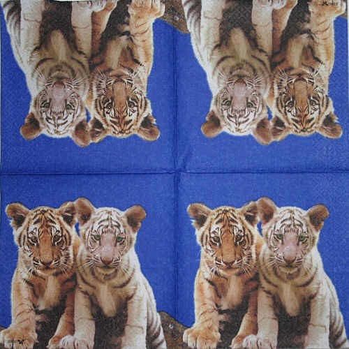 Serviette Tigerbabies