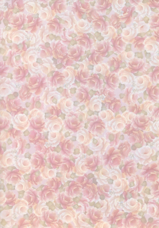 817051 Transparentpapier A4 Rosen rosa