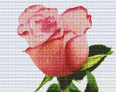 px809361_Pixelset-Rose-2-rosa