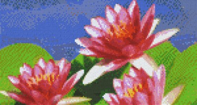 806165 Pixelhobby Klassik Set Lilien 5