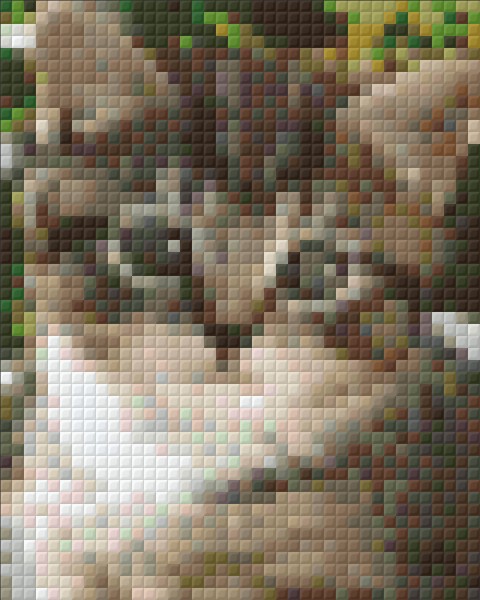 8011195 Pixelhobby Klassik Set Katze 5
