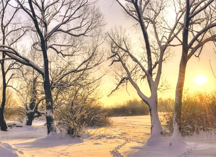 010663 Kartenkarton Weihnachten Sonnenuntergang 24x34cm