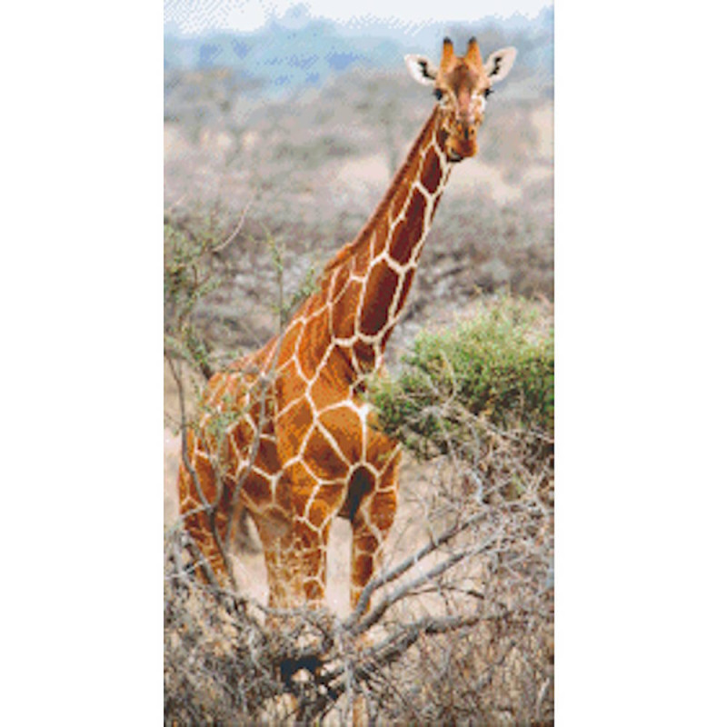 821004 Pixelhobby Klassik Set Giraffe 2