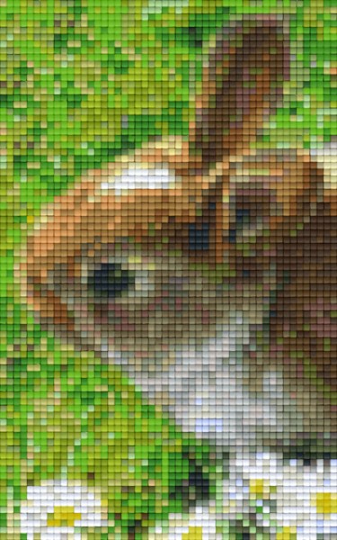 802098 Pixelhobby Klassik Set Hase 5