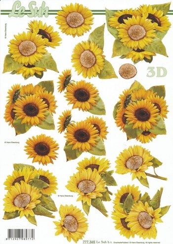 777365_3D-Motivbogen-Sonnenblumen-2