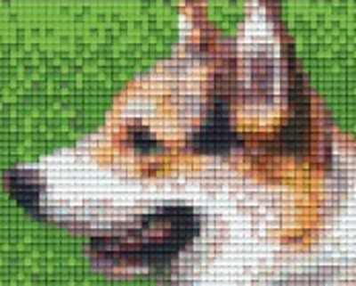 801311 Pixelhobby Klassik Set Hund 5