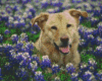 804137 Pixelhobby Klassik Set Hund zwischen Blumen