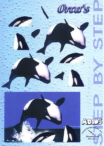 3D Motivbogen Orcas