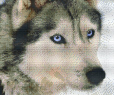 806145 Pixelhobby Klassik Set Husky