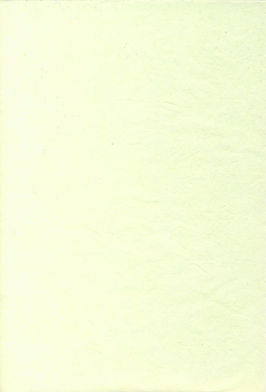 1012563 Naturpapier Strohseide A4 hellgrün
