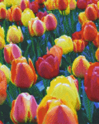 809208_Pixelset-Tulpen-8