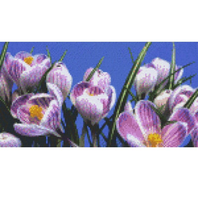 806169 Pixelhobby Klassik Set Narzissen 2