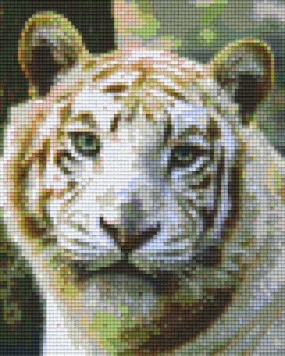 804188 Pixelhobby Klassik Set Tiger weiß