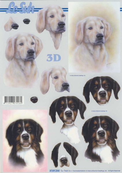 4169.244 3D Motivbogen A4 Hunde