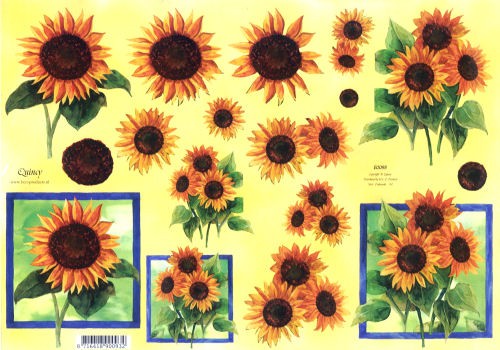 900932_3D-Motivbogen-Sonnenblumen