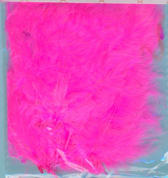 005006_Federn-pink-20-Stück