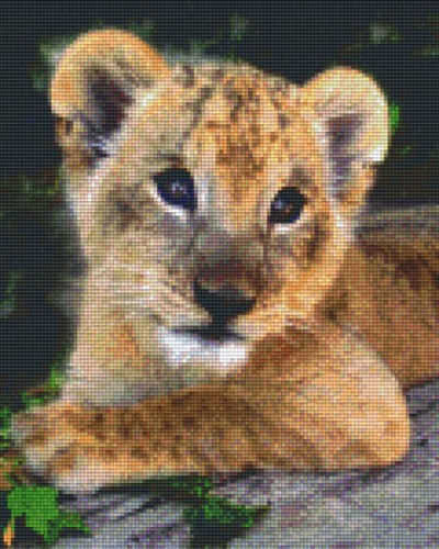 px809178_Pixelset-Gepard-Welpe