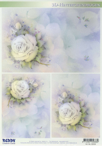 82059 3D Hintergrundbogen A4 White Roses