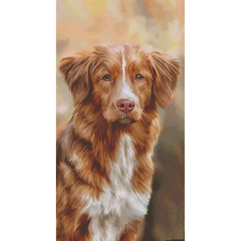 824021 Pixelhobby Klassik Set Hund 17