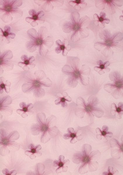 8006207 Bastelkarton A4 Orchideen