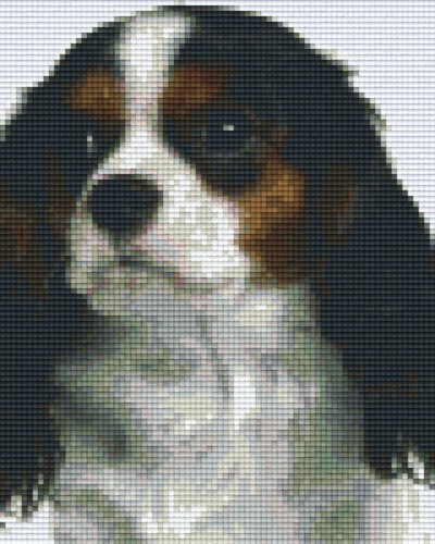 804208 Pixelhobby Klassik Set Hundeblick 2