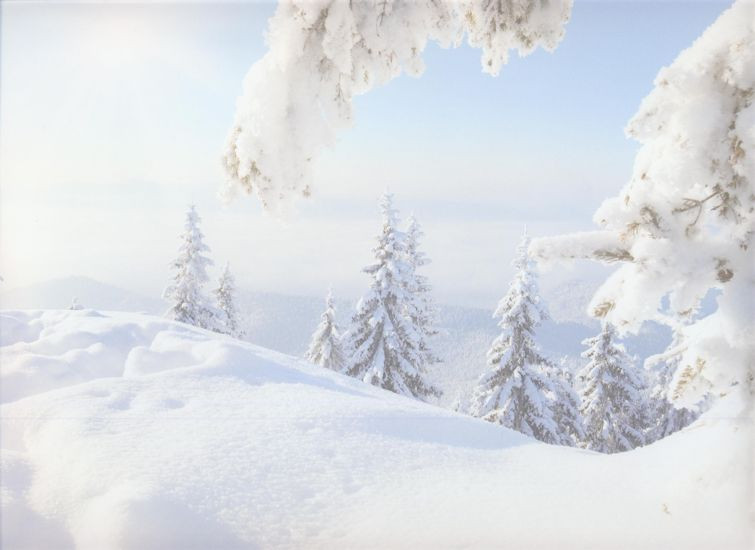 010664 Kartenkarton Winterlandschaft 24x34cm