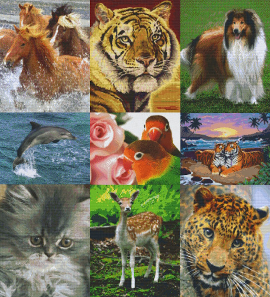 Pixelhobby Klassik Sets Tiere mit 9 Basisplatten