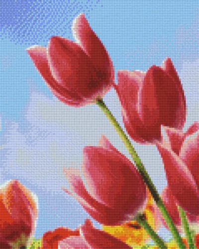 809370_Pixelset-Tulpen-9