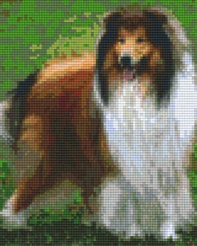 804222 Pixelhobby Klassik Set Collie