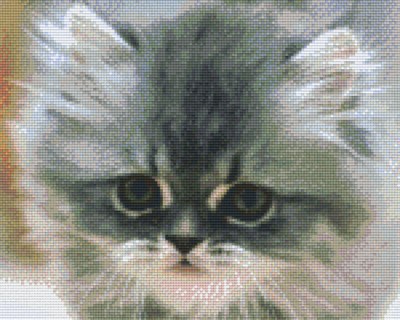 809226_Pixelset-Babykatze-2