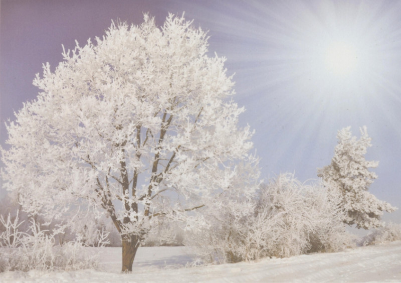 005342 Transparentpapier A4 Winterlandschaft 3