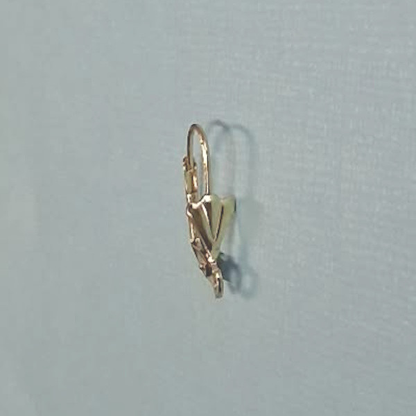 p2103295 Ohrring Brisur mit Blatt gold Edelstahl