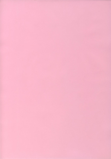 50494626 Ursus Transparentpapier rosa A4
